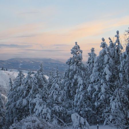 Whitebird Summit Lodge Grangeville Экстерьер фото