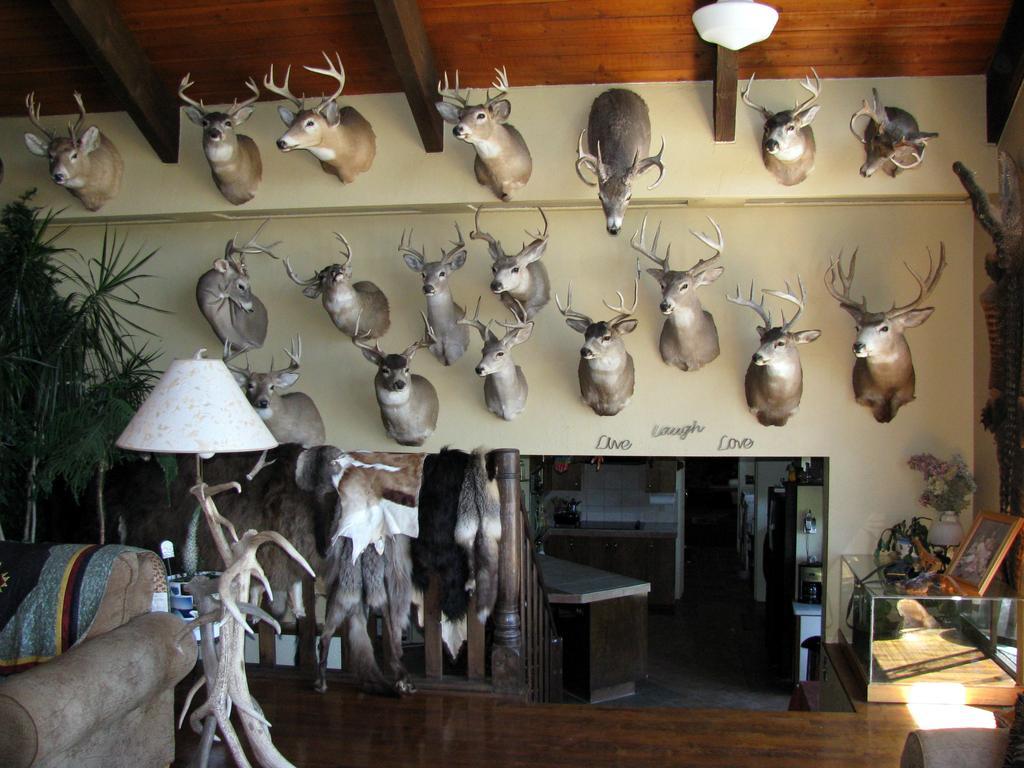 Whitebird Summit Lodge Grangeville Экстерьер фото