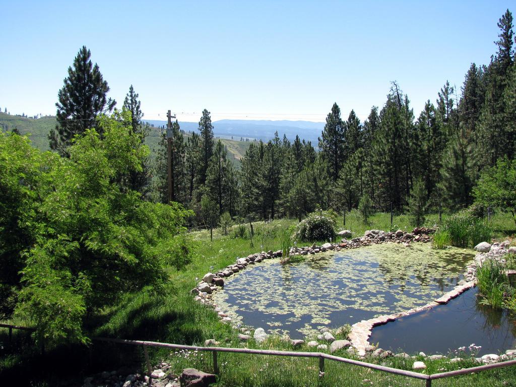 Whitebird Summit Lodge Grangeville Экстерьер фото