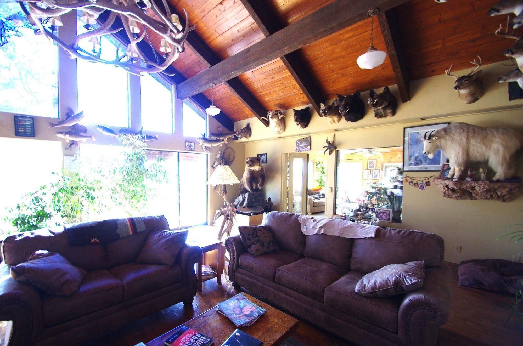 Whitebird Summit Lodge Grangeville Экстерьер фото
